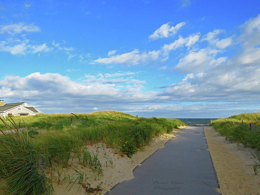 Pathway to Heaven Photograph by Dianne Cowen Cape Cod Photography