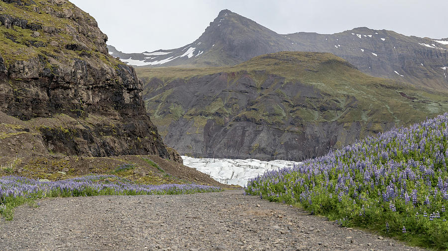 Pathway to Iceland Glacier  Photograph by John McGraw