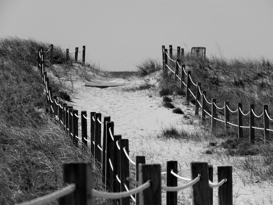 Pathway to Ocean 22 Photograph by Dianne Cowen Cape Cod and Ocean ...