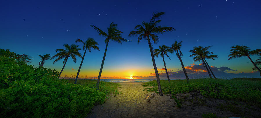 Pathway to Paradise Photograph by Mark Andrew Thomas