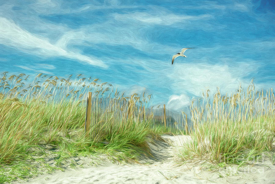 Pathway to the Beach #8213P Painting by Susan Yerry