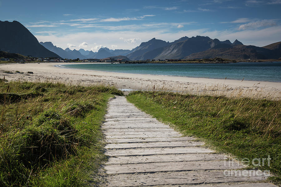 Nature Photograph - Pathway To The Beach by Eva Lechner