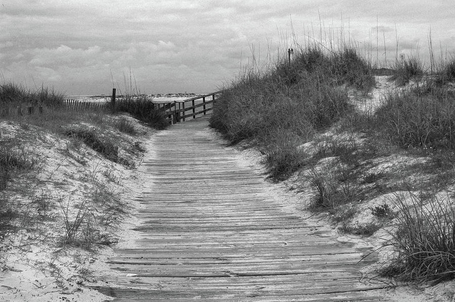 Pathway To The Beach In Black And White Photograph