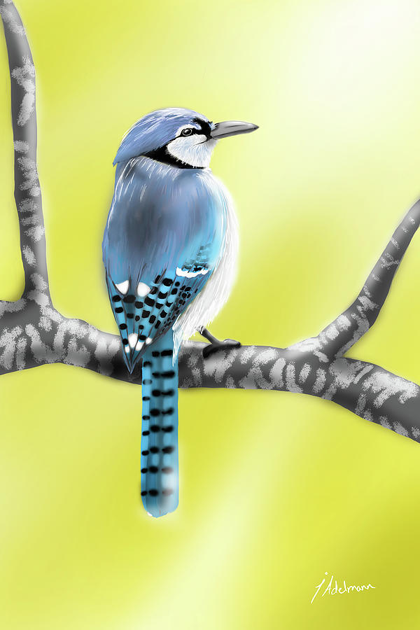 Patient Blue Jay Digital Art by Jessie Adelmann