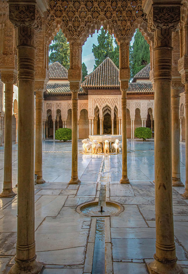 Patio de Los Leones Photograph by Rebecca Herranen