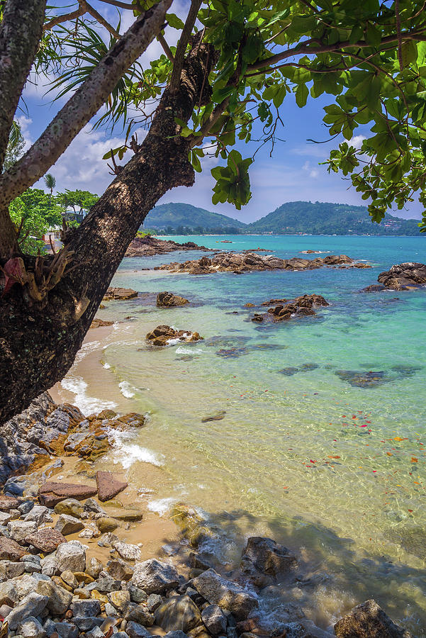 Patong Beach Rocks and Tree Phuket Thailand Photograph by Scott McGuire