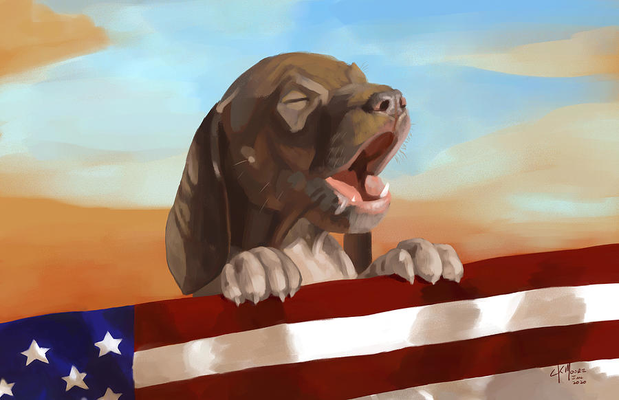 Dog Digital Art - Patriot Dog by CK Moore