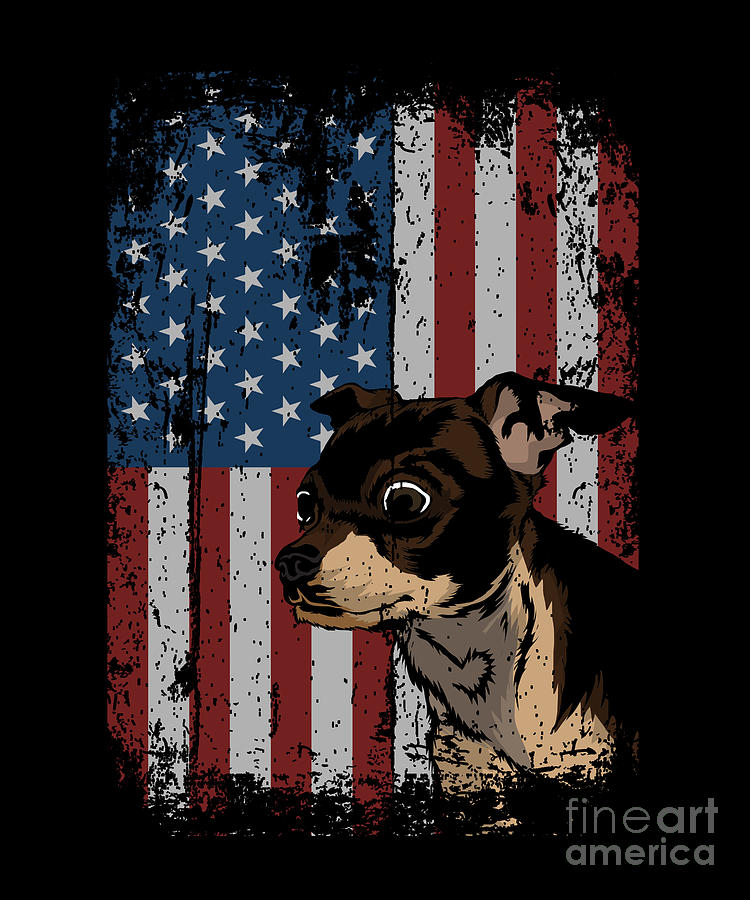 Patriotic America Flag Chihuahua Cute Gift Idea Digital Art by J M