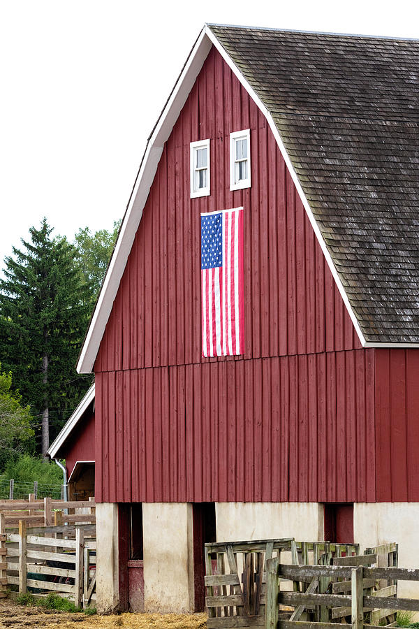 Patriotic Barn Photograph by Patty Colabuono