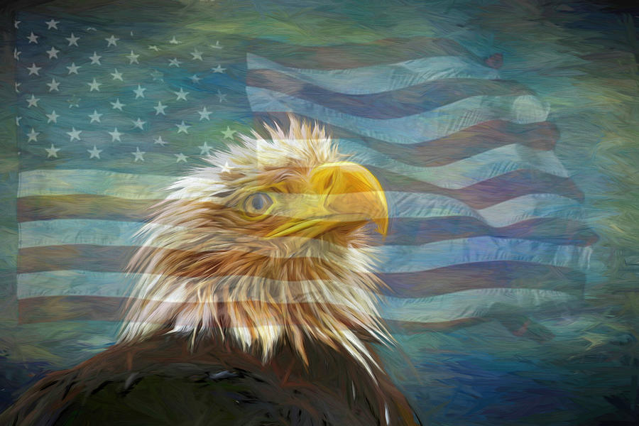 Patriotic Eagle Photograph by Judy Vincent