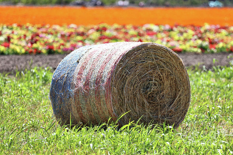 Patriotic Hay Bale #1 Photograph by Vivian Krug Cotton
