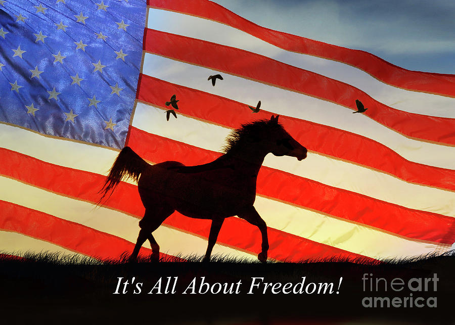 Patriotic Horse and Large American Flag Freedom Photograph by Stephanie Laird