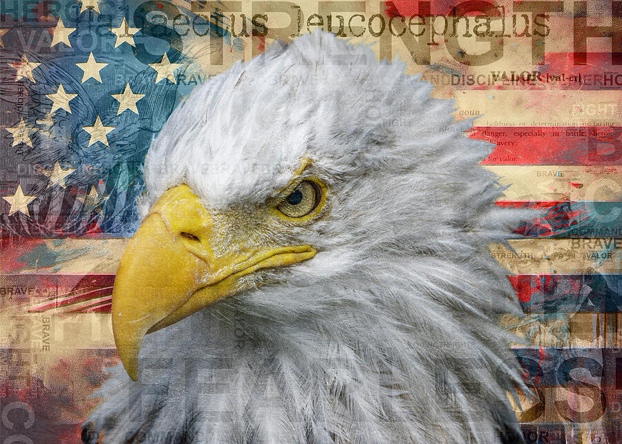 Patriotic Military Eagle Mixed Media by Dan Sproul Patriotic Military Eagle Mixed Media by Dan Sproul