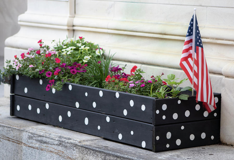 Patriotic Polka Dots Photograph by Suzanne Gaff