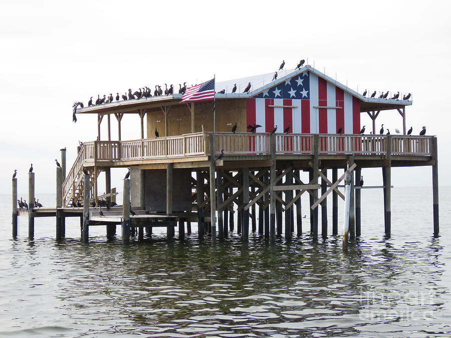 Patriotic Stilt House Photograph by World Reflections By Sharon