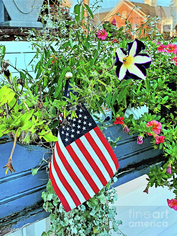 Patriotic Window Box Photograph by Sharon Williams Eng