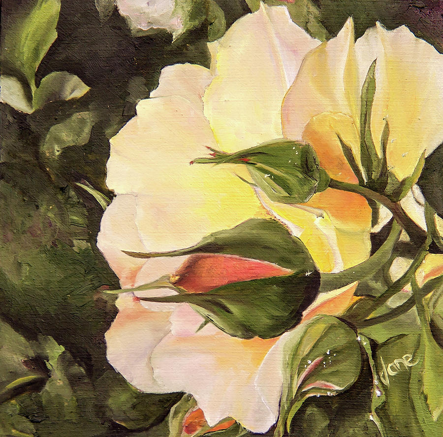 Friendship Rose Painting by Nila Jane Autry