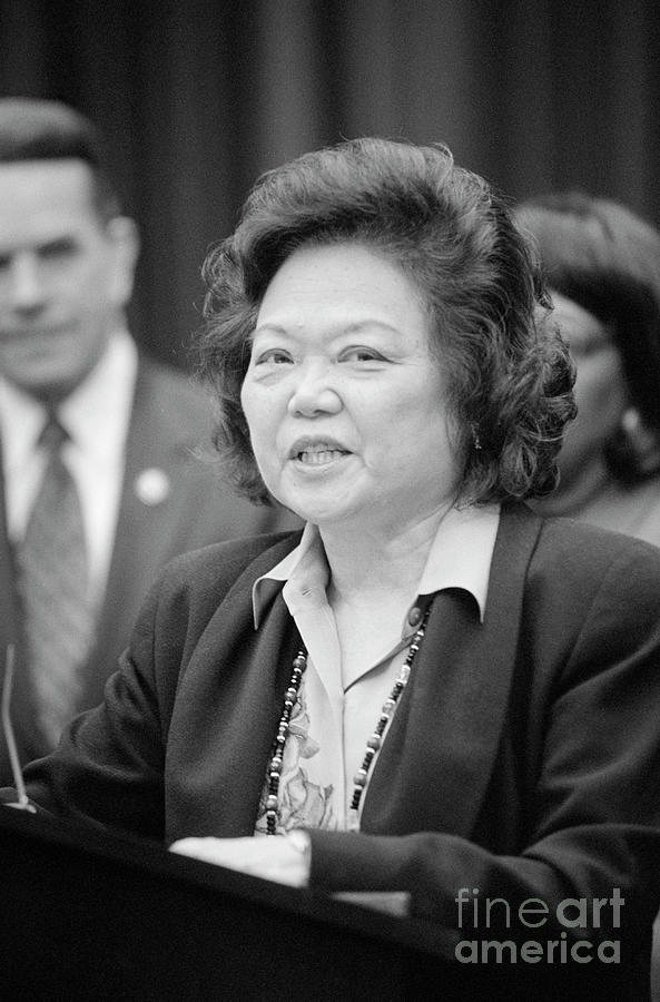 Patsy Mink, 1993 Photograph by Michael Jenkins Fine Art America