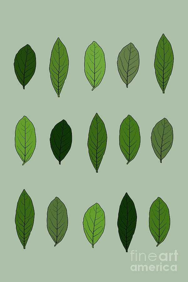 Pattern of leaves Digital Art by Clayton Bastiani