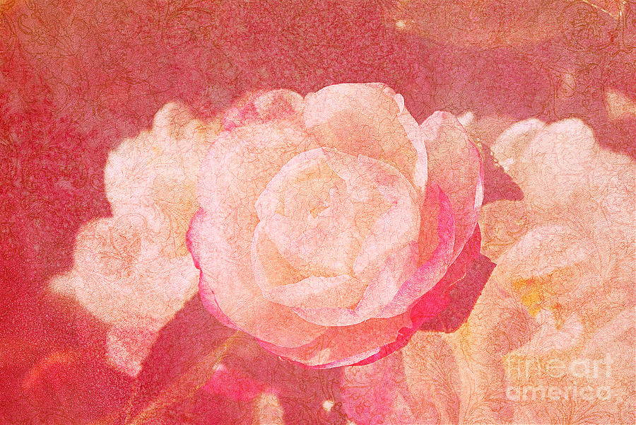 Patterned Camellias Golden Pink Mixed Media by Joy Watson