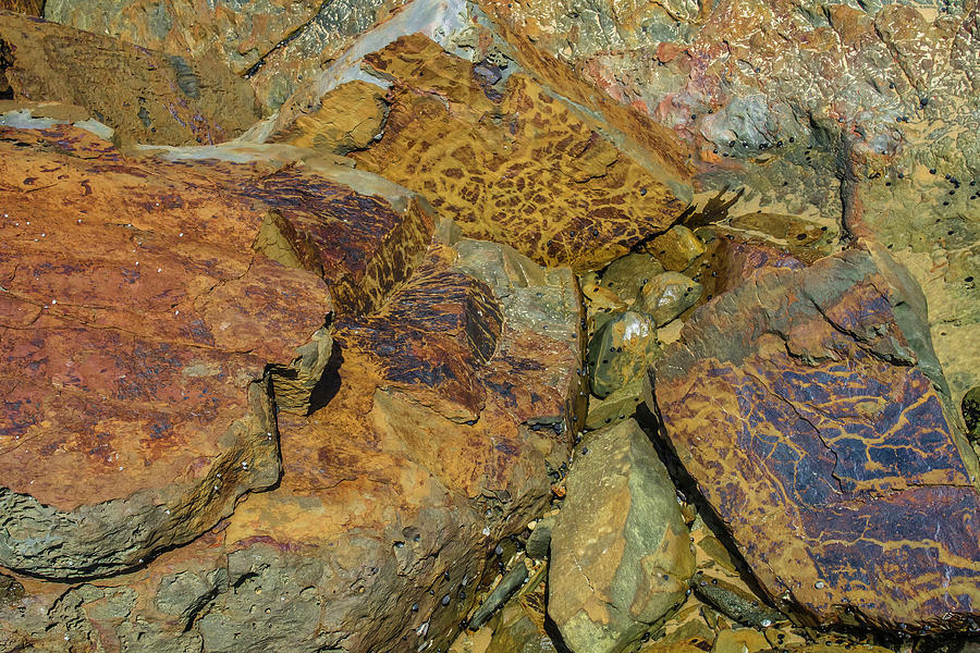 Patterned Rocks Photograph by Bette Devine Pixels