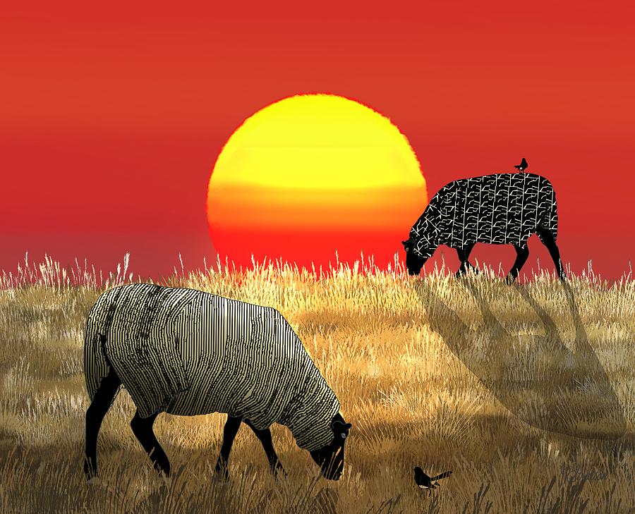 Patterned Sheep Red Sky Summer Sunset Drawing by Joan Stratton