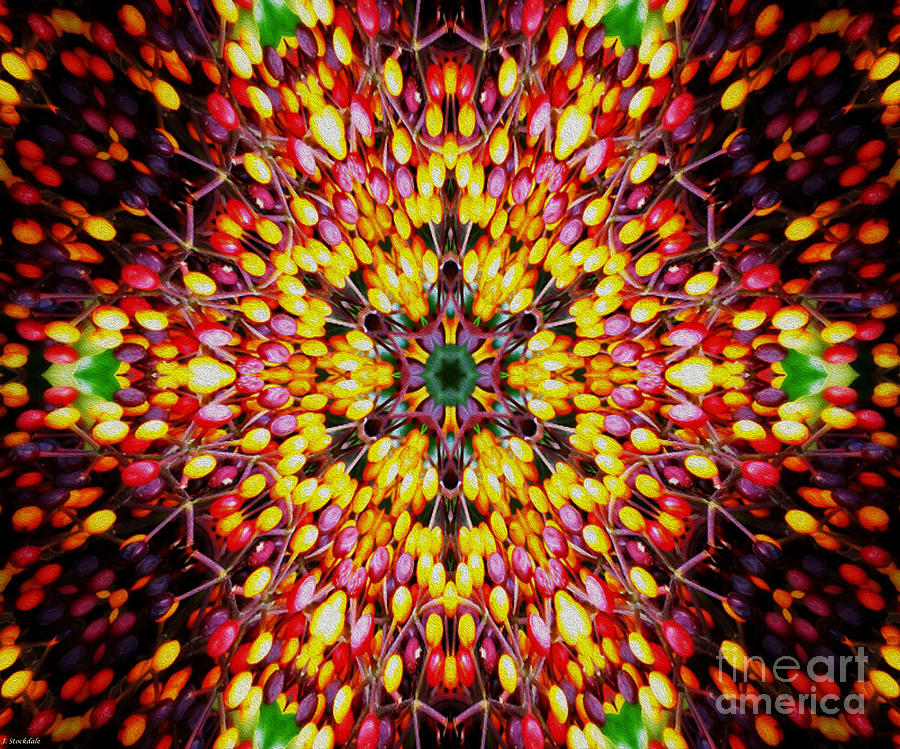 Patterns in Nature 3 Digital Art by Stocksom Art Prints - Pixels