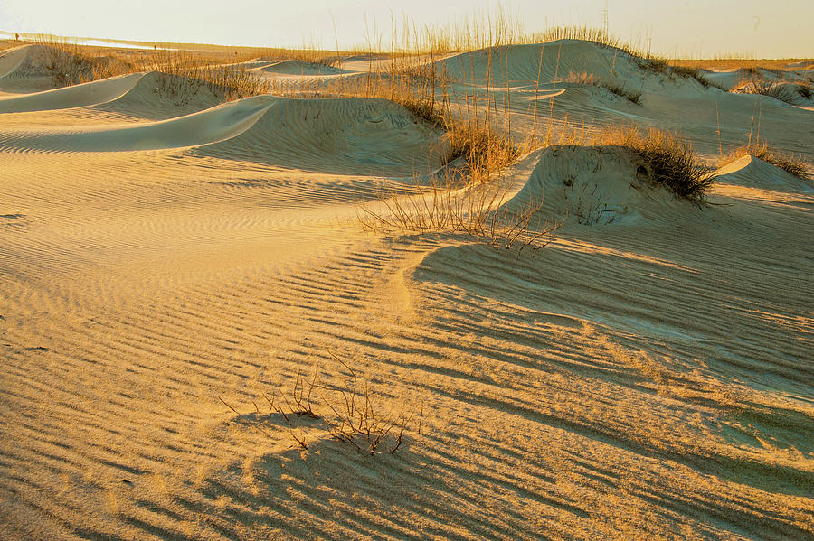 Patterns in Sand Dunes on the OBX Photograph by James C Richardson
