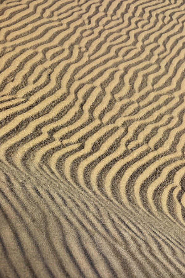 Patterns In The Sand 2 Photograph