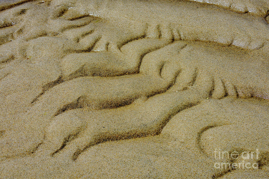 Patterns in the Sand Photograph by Alan Schroeder