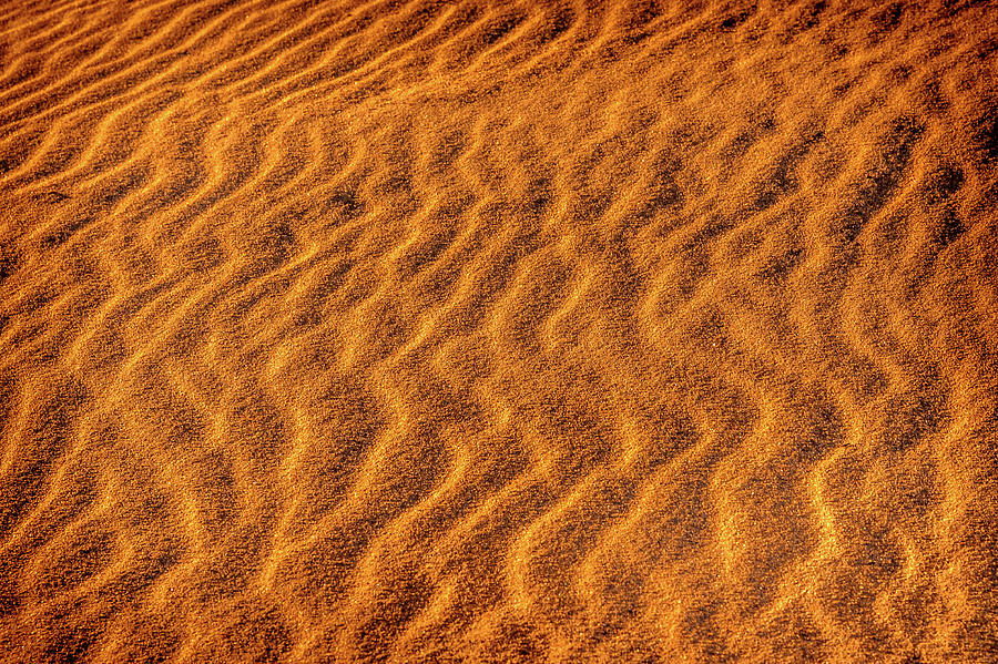 Patterns in the Sand at Cape Hatteras 3 Photograph by James C Richardson