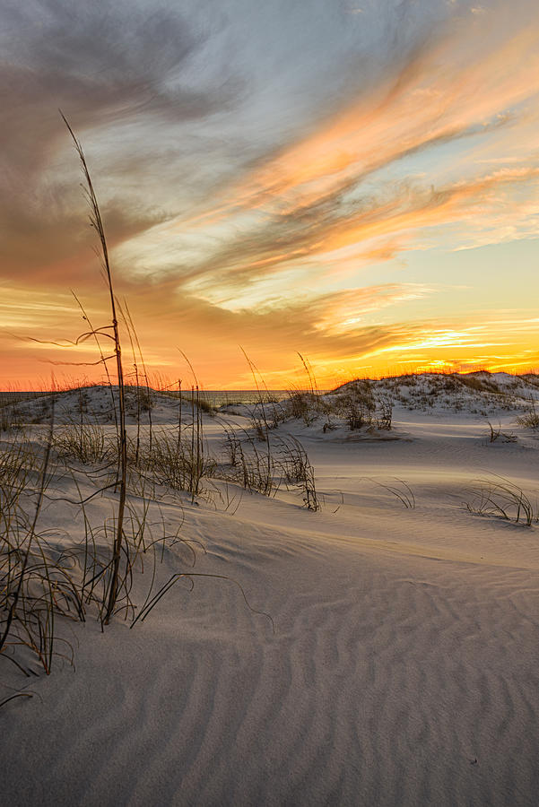 Patterns in the Sand with Golden Sunset Photograph by Mike Whalen