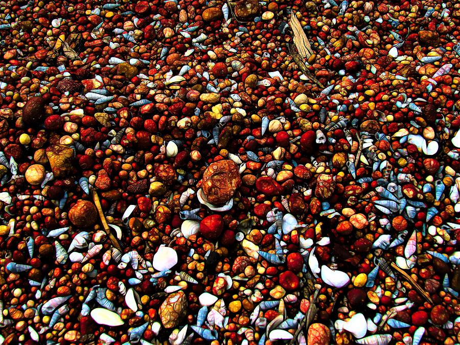 Patterns of Weipa Bauxite on The Beach Photograph by Joan Stratton
