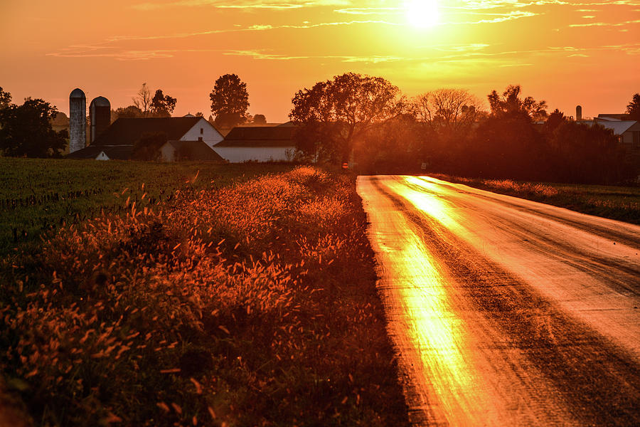 Paved with Gold Photograph by Tana Reiff