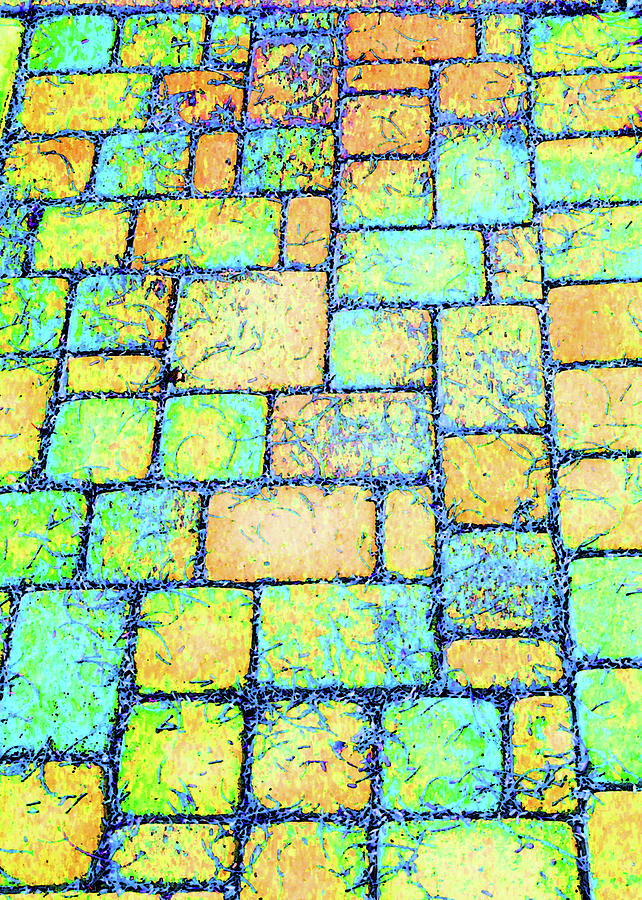 Pavers Color Abstract Digital Art by Tom Janca