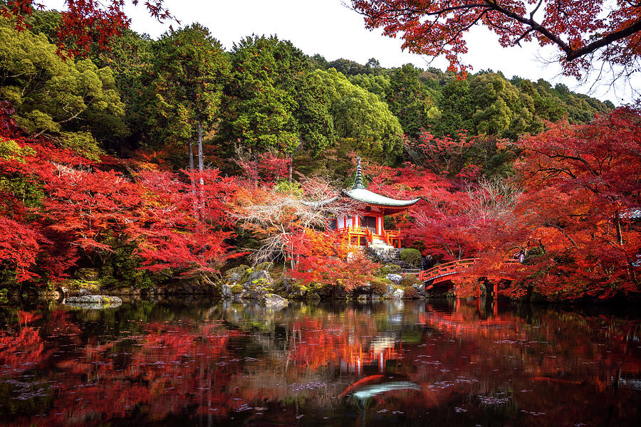 Pavilion and Wooded bridge in Daigoji temple with autumn backgro ...