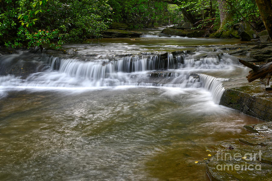 Paw Paw Creek Photograph by Phil Perkins