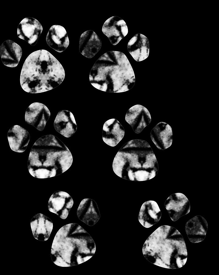 Paw Print Dog Cat 740 Digital Art by Lin Watchorn