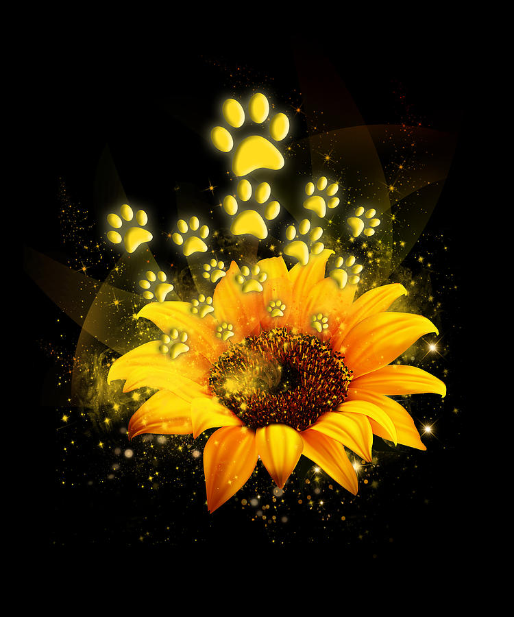 Pawz shop sunflower shirt