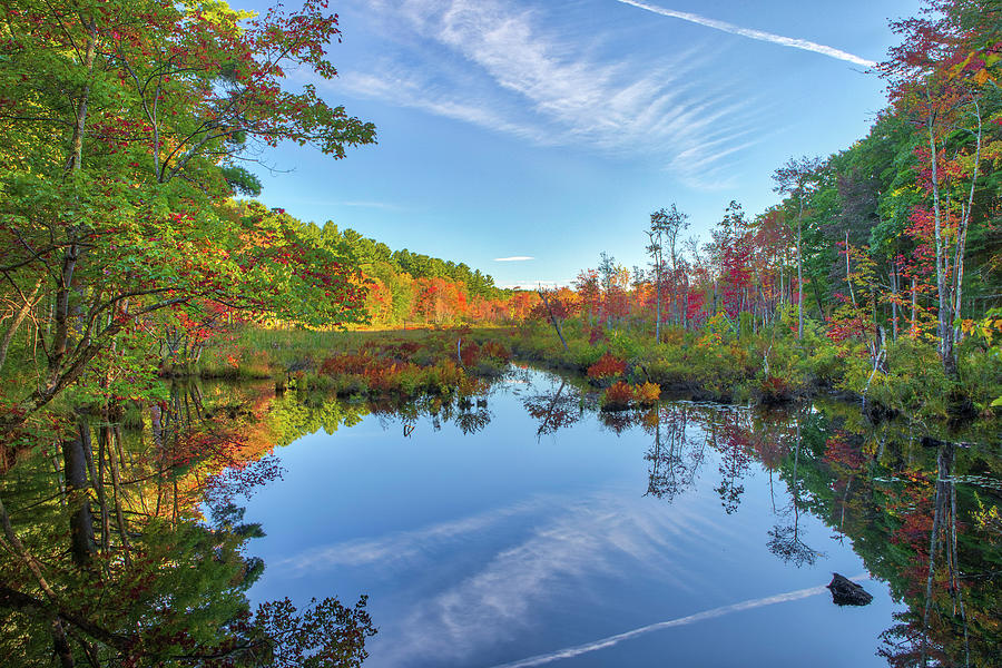 Paxton Wetland Central  Massachusetts Fall Foliage Photograph by Juergen Roth