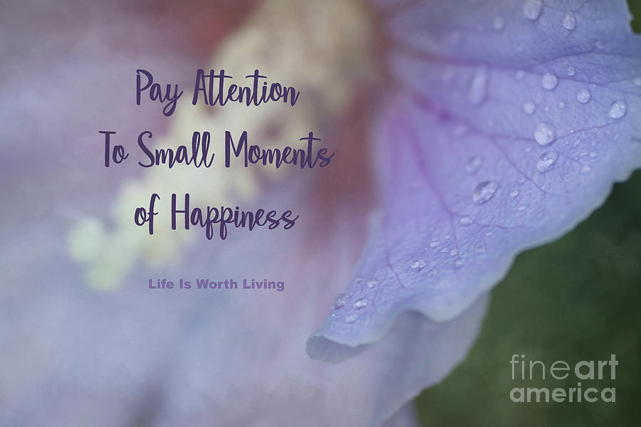 Pay Attention To Small Moments of Happiness Photograph by Amy Dundon