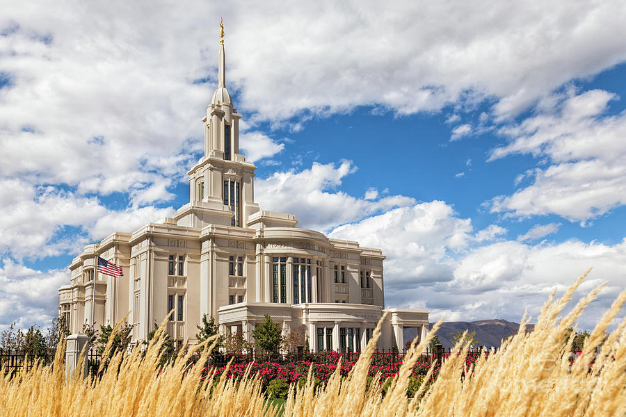 Payson Utah Temple - Golden Peace Photograph by Bret Barton