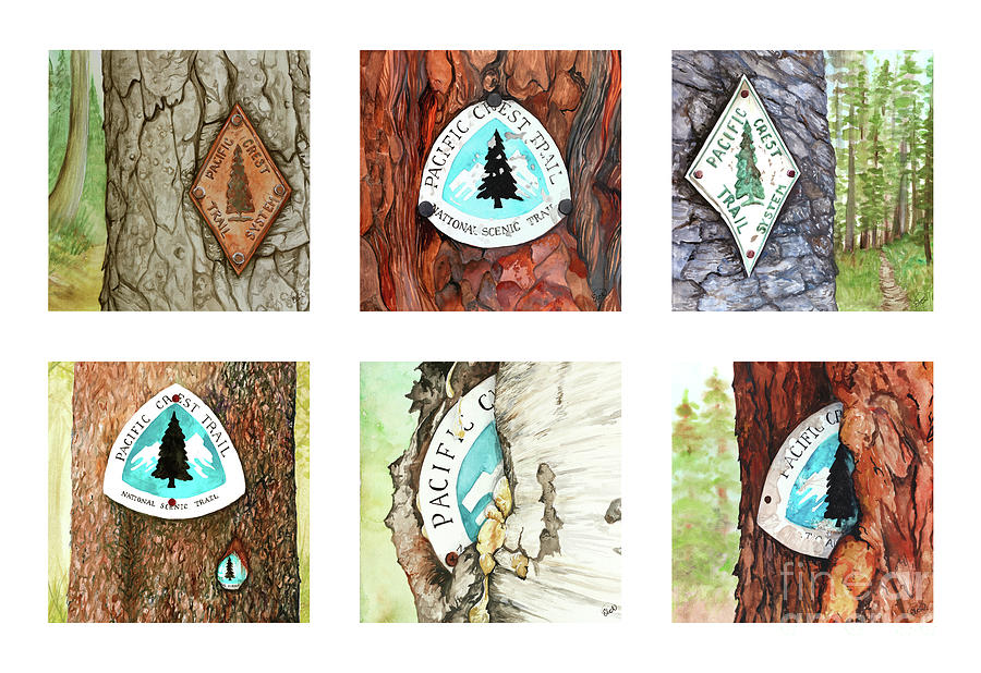 PCT Trail Blaze Collection Painting by Elizabeth Mordensky