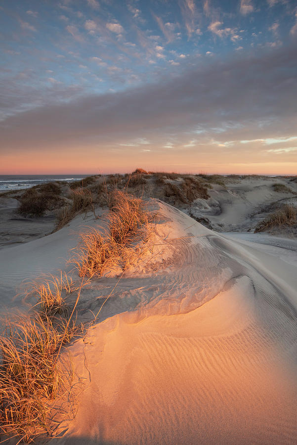 Pea Island National Wildlife Refuge Outer Banks Obx Photograph By Mark