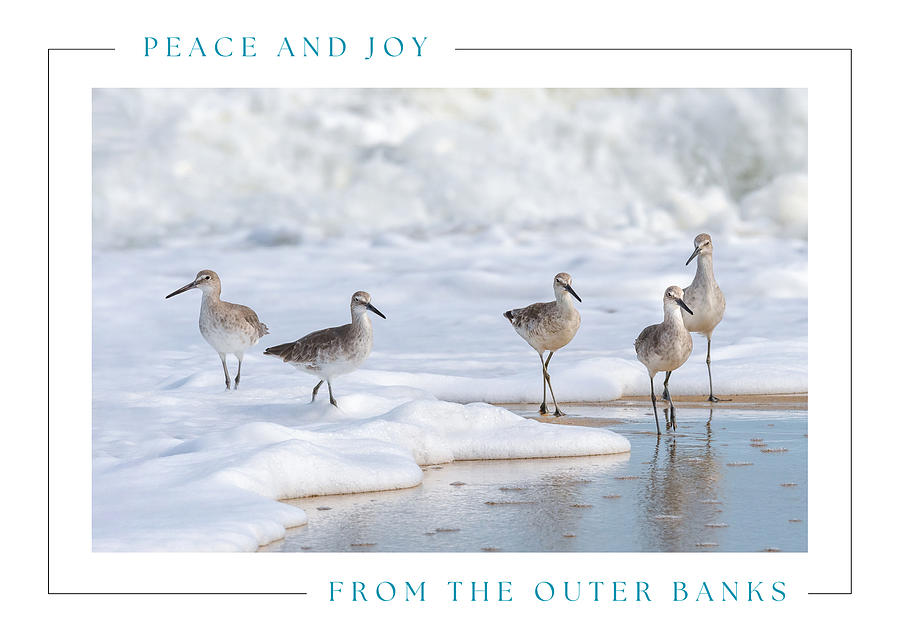 Peace and Joy from the Willets Photograph by Cyndi Goetcheus Sarfan
