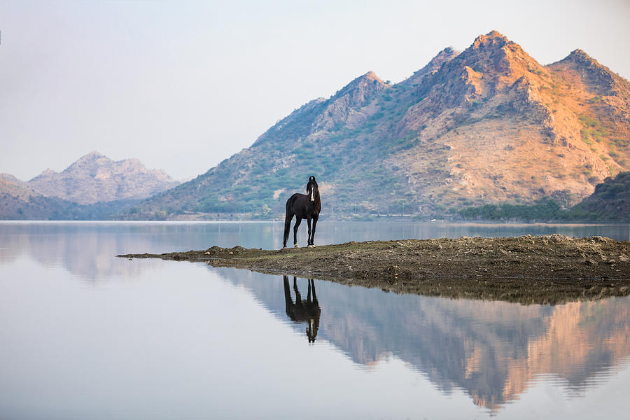 Marwari Photograph - Peace and Serenity by Picstoriesbymmk Photography Marwari Photograph - Peace and Serenity by Picstoriesbymmk Photography