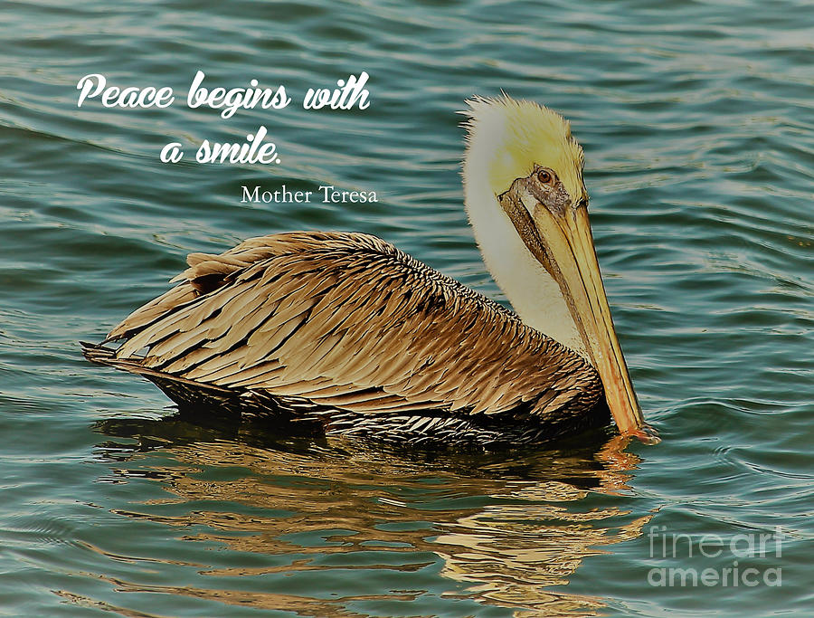Peace begins with a smile. Mother Teresa Photograph by Joanne Carey