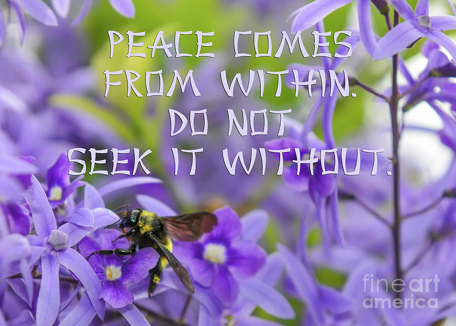  Peace Comes From Within Photograph by Olga Hamilton