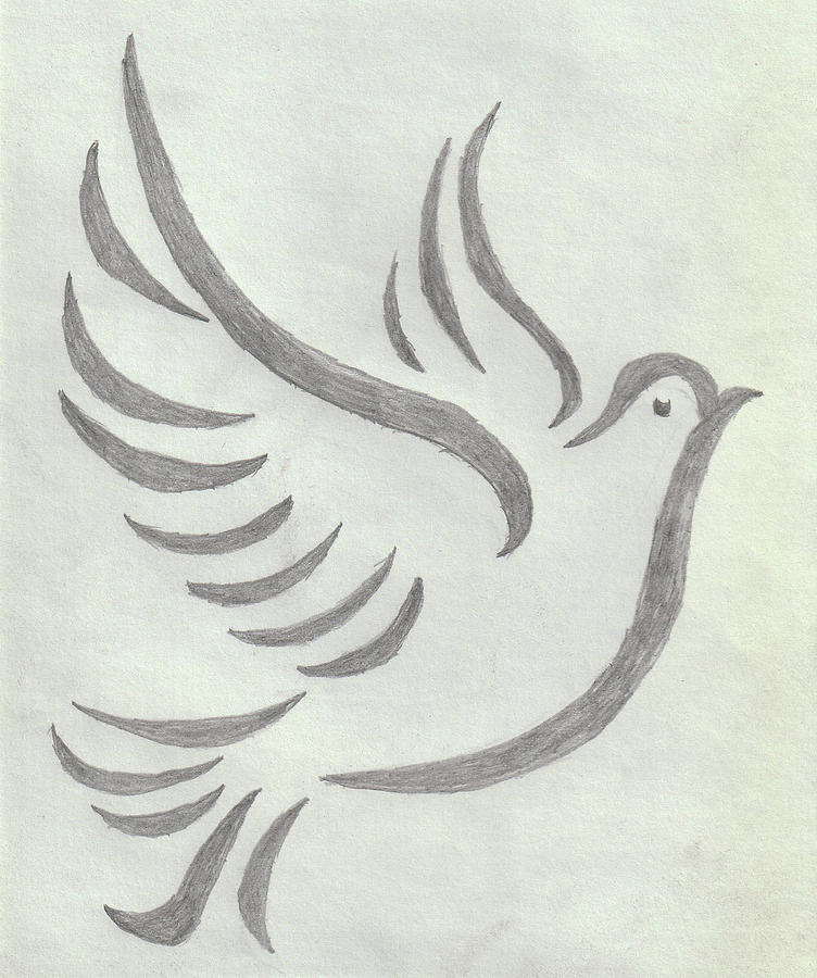 Peace Drawing - Peace Dove by Sandeep Choudhary Peace Drawing - Peace Dove by Sandeep Choudhary