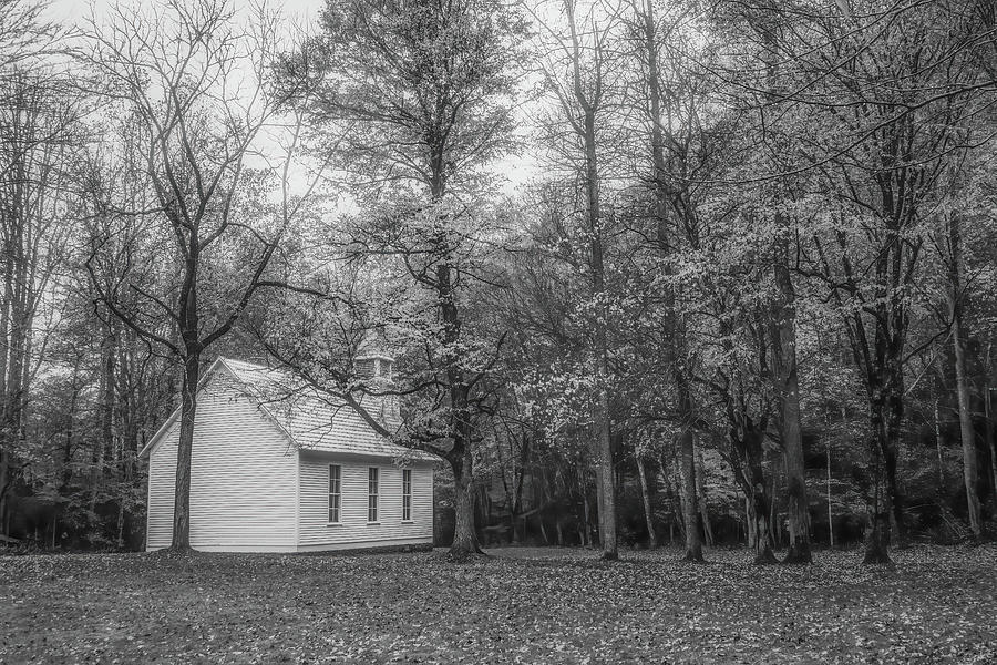 Peace in Cataloochee, Black and White Photograph by Marcy Wielfaert